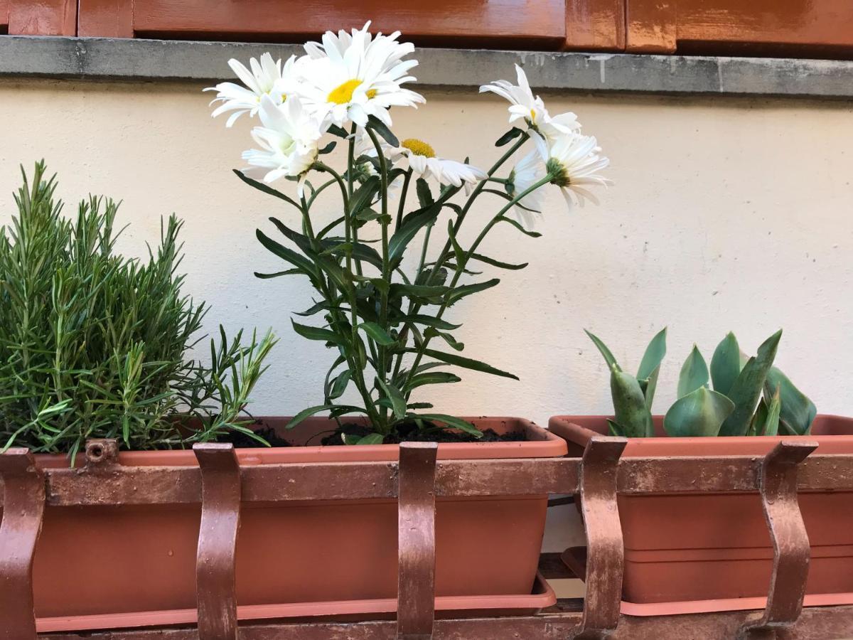 レーリチLa Casa Fra Gli Uliviアパートメント エクステリア 写真